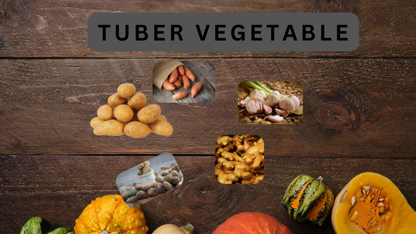 Tuber Vegetable