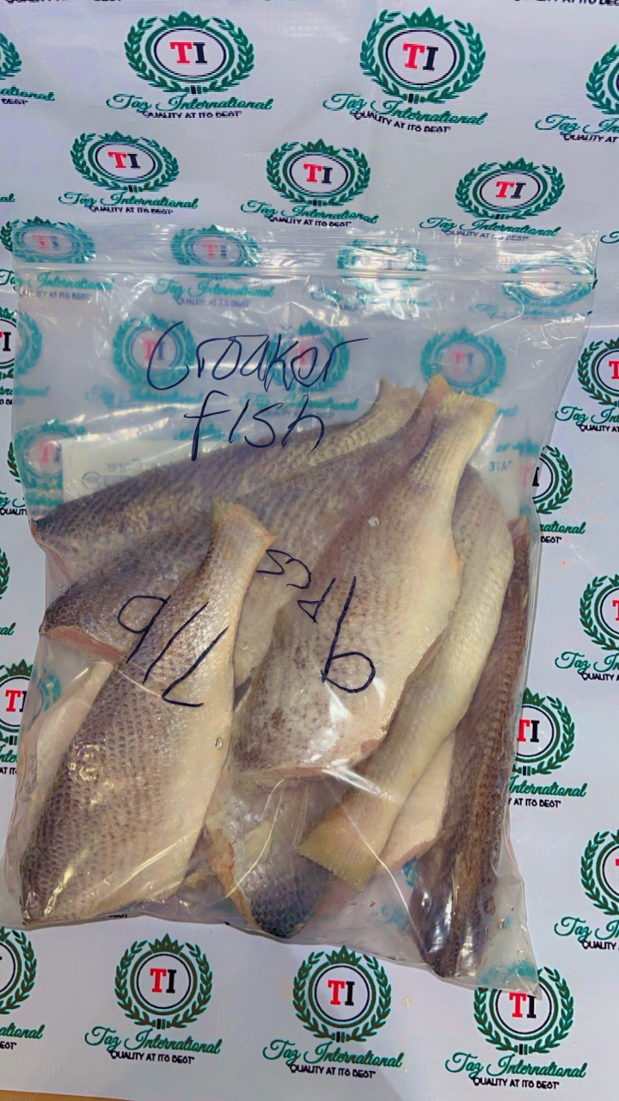 Croaker Fish(fresh and headless)