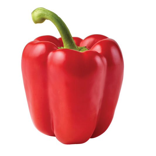 Red Bell Pepper (Tatashe)