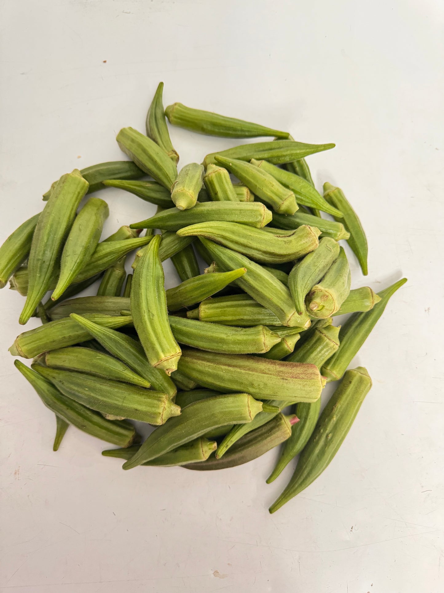 Okra