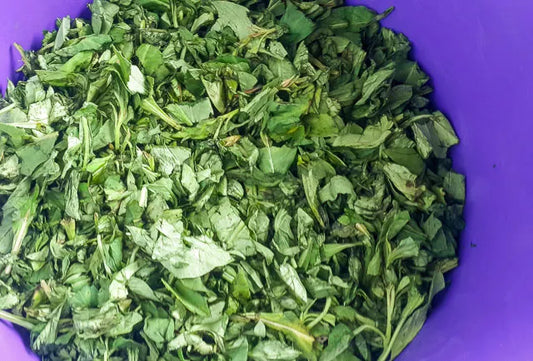 Organic Spinach (Efo Shoko)