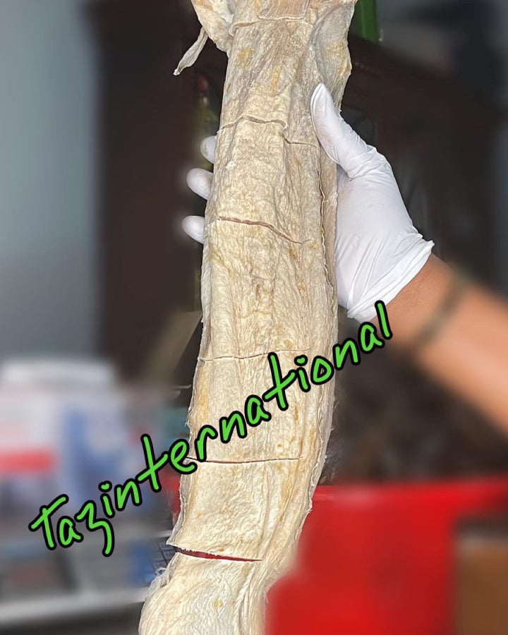 Stockfish – TAZInternational