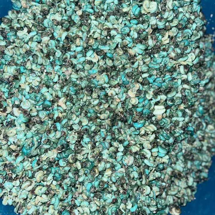 Periwinkle 140g