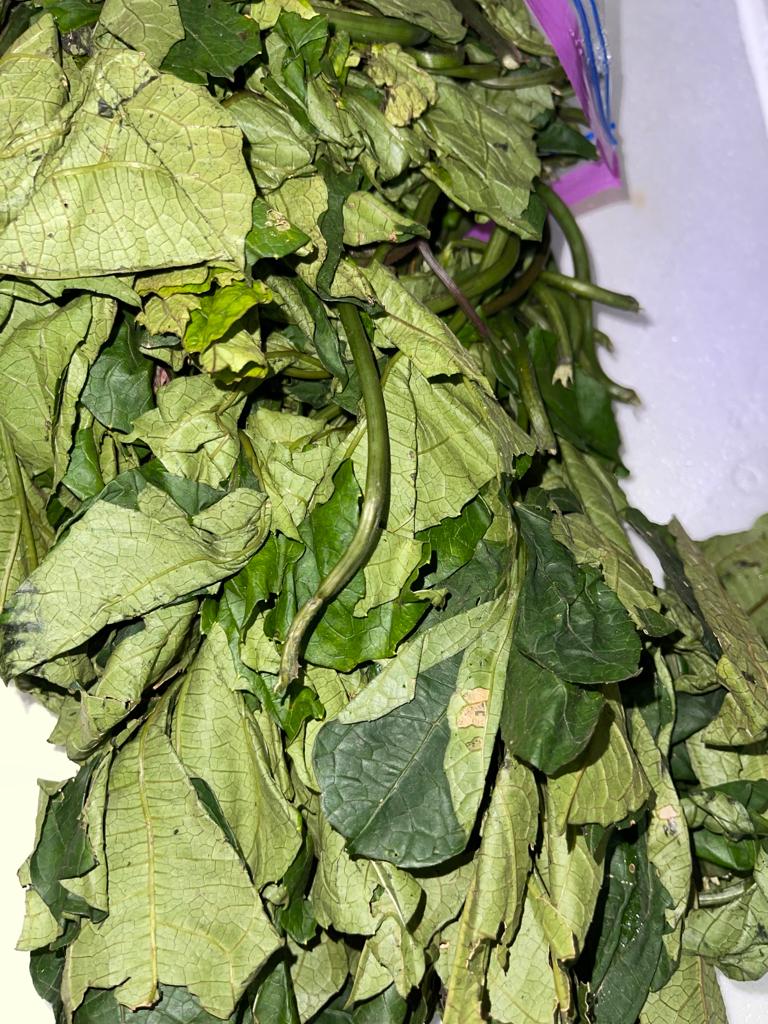 Ugu leaf – TAZInternational